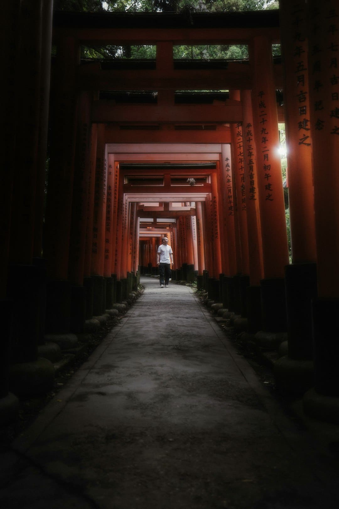 【真抓实干 奋勇争先】便企利民!诏安持续深化“跨省通办”新模式